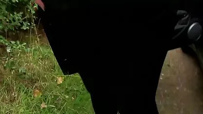 chica freír belleza en traje de baño verde en dos peliculas completas xvideos tronco